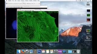 Tute2 Basic Image Processing for Colour Images in ImageJ [upl. by Sirovart]