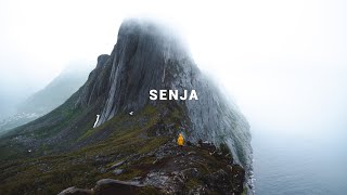 DAS musst du in NORWEGEN erlebt haben Senja ∙ Norwegen Roadtrip ∙ Vlog 160 [upl. by Nawuj]