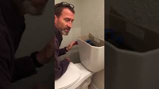 Fix Constantly Running Dual Flush Toilet Cistern By Replacing The Flush Valve Washer [upl. by Ytoc]