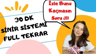 30 Dk da AYT Sinir Sistemi Full Tekrar [upl. by Eybbob]