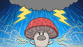 How Mushrooms Make It Rain [upl. by Adnilahs]