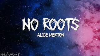 Alice Merton – No Roots Lyrics [upl. by Launcelot]