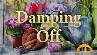 Damping Off – Garden Glossary [upl. by Ivory341]