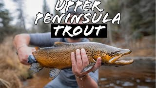 Upper Peninsula Trout Grand Slam  Brown trout brook trout and rainbows MY FIRST BROWN [upl. by Enal]