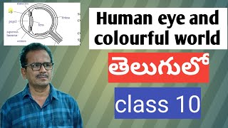 Human eye and colourful world class 10CBSEpart1 [upl. by Ajar991]