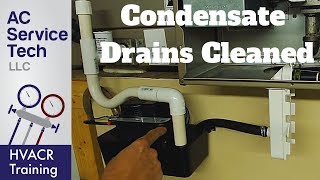 Condensate Drain Traps amp Lines Cleaned on AC and Gas Furnace [upl. by Nirrep979]