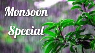 Coming Soon Monsoon Special Recipes  मानसून स्पेशल । monsoonspecial [upl. by Walkling]