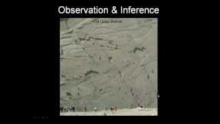 Inference and Observation Dino Tracks [upl. by Inaffyt]