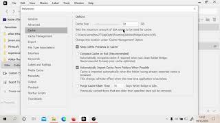 How to delete Adobe cache files [upl. by Heilman667]