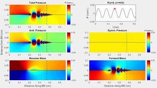 Forward and Reverse Waves Modeling Distortion Products in the Intracochlear Fluid Pressure [upl. by Notlok]