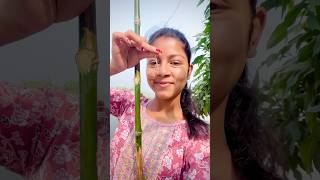 আজ ছিপ দিয়ে মাছ ধরলাম😍video minivlog shortvideo youtubeshorts agriculture viralvideo fish [upl. by Barnaby]