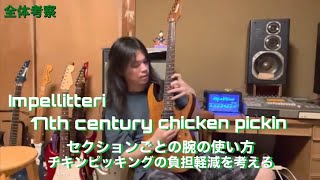 Impellitteri 17th century chicken pickin （cover） [upl. by Darci]