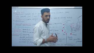 Golgi bodyGolgi apparatus class 11 bio explain by Tariq Roghani in Urdu Hindi language [upl. by Mamie]