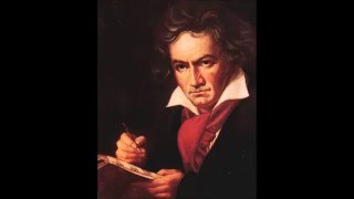 Beethoven  Quinta sinfonia Primeiro movimento Allegro con brio [upl. by Buckler]