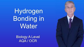 A Level Biology Revision quotHydrogen Bonding in Waterquot [upl. by Guillaume]