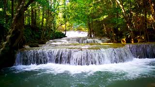 4k Lush Waterfalls flow in Huai Mae Relaxing Nature Sounds Waterfall White Noise for Sleep Study [upl. by Cariotta]