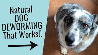 Natural Way to Worm Dogs with Diatomaceous Earth Fast [upl. by Yur]