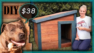 How to Build Indoor Wooden Dog Crate Furniture  with DIY Plans for the Recreational Woodworker [upl. by Nosila]