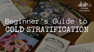 Beginners Guide to Cold Stratification [upl. by Baalbeer]