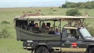 Cheetah jumps into a Safari Vehicle  Masai Mara  Kenya [upl. by Atinar]