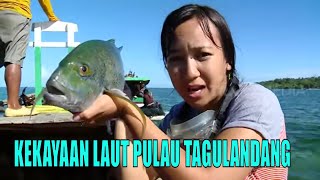 Kekayaan Laut Pulau Tagulandang  JEJAK PETUALANG [upl. by Kreiker]