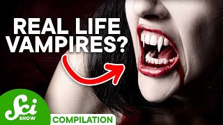 Vampires Could Be Real and Heres Why [upl. by Allain]