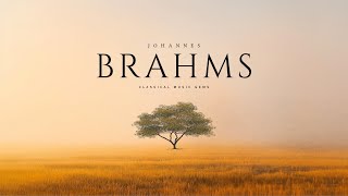 Best of Brahms  Classical Music Gems [upl. by Lust]