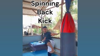 Spinning Back Kick Tips [upl. by Halsey321]