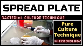 Spread Plate Technique for Colony CountingA Complete Procedure Microbiology [upl. by Korb]