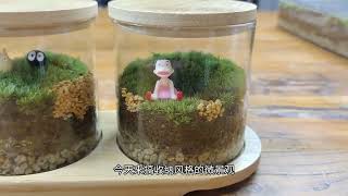 收納風格苔蘚微景觀，我不說你能看出來是什麼容器麼Storage style moss landscape [upl. by Drofnats741]