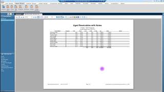 Reports in Rent Manager 12 [upl. by Wildee]