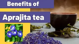 Blue Tea Butterfly Pea Flower tea 5 benefits of blue tea ☕️fashionholicgarima [upl. by Acacia364]