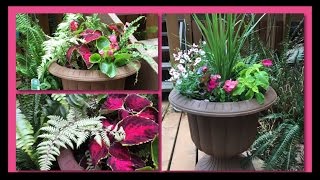 DIY Mixed Shade Garden Planter Pots [upl. by Beberg532]