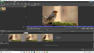 VideoPad Tutorial How to Cut and Join Video in VideoPad [upl. by Rosenfeld185]