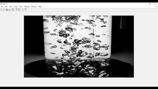 Particle Image Velocimetry using MATLAB coding  MATLAB Solutions matlabsproject imageprocessing [upl. by Daley]