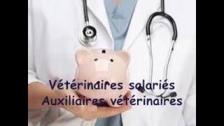 Les salaires des auxiliaires vétérinaires [upl. by Lamrert56]