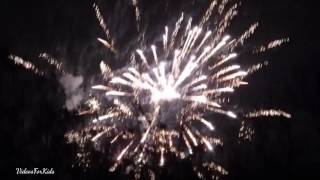 Firework video for kidschildren [upl. by Trojan4]