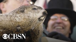 Groundhog Day 2019 Punxsutawney Phils winter prediction live stream [upl. by Saxen]