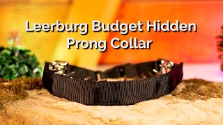 Leerburg Budget Hidden Prong [upl. by Home]