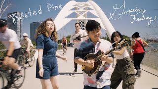 Twisted Pine  Goosebump Feeling Official Music Video [upl. by Crescantia987]