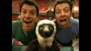 Zoboomafoo  Theme Song [upl. by Htiduj]