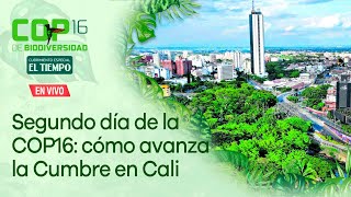 Segundo día de la COP16 le mostramos cómo avanza la Cumbre de Biodiversidad en Cali [upl. by Eerrehs]