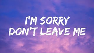 SLANDER  Im sorry dont leave me I want you here with me Lyrics  Love Is Gone [upl. by Kemppe]