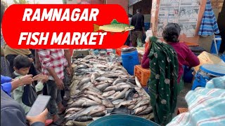 Ramnagar Fish Market  Hyderabad Wholesale Fish  मछली बाज़ार [upl. by Ul492]