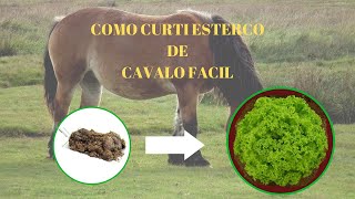 como curti esterco de cavalo facil [upl. by Odlaumor]