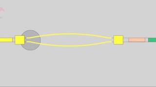 5 2 Isotype Switching [upl. by Fleischer]