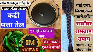 Hair oil for hair growthकेसांसाठी बहुगुणी कडीपत्ता तेलhair oil for hair fallkadipatta oilhairoil [upl. by Derayne738]