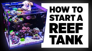 A Beginners Guide to Setup a Reef Tank [upl. by Namharludba]