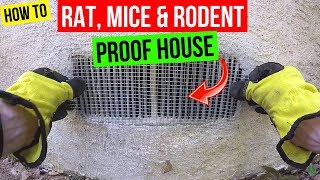 How To Protect your Home from Rats Mice amp Rodents Jonny DIY [upl. by Iosep469]