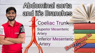 Abdominal Aorta and it’s branchesNew Version [upl. by Kaela]